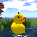 Yellow duck